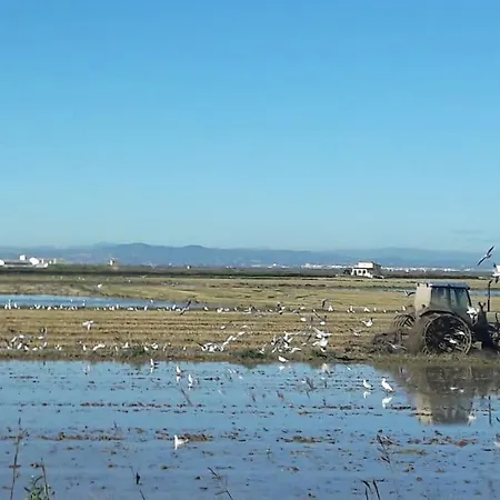 Willa Beachfront House, Valencia, Wifi, Paddle Surf Board, Incredible Views Sueca